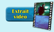 Bonaire Video